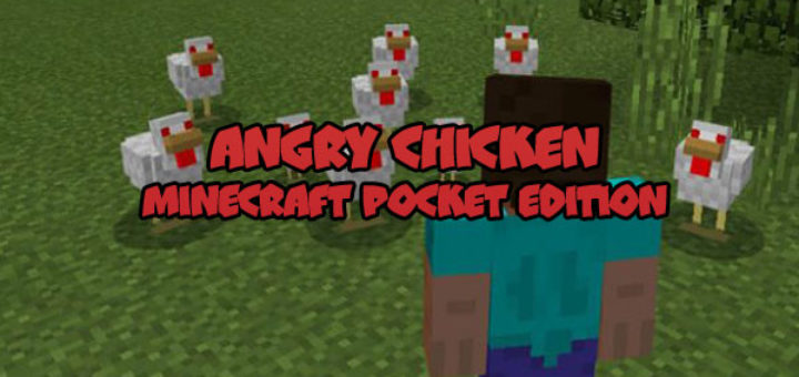 Angry Chicken Addon [Minecraft PE]