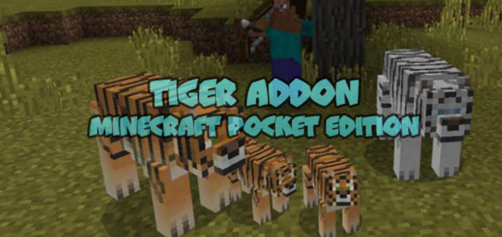 Tiger Addon [Minecraft PE 1.1.0.4+]