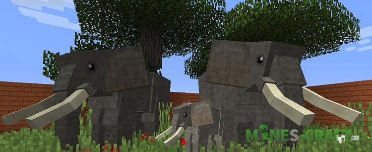 Minecraft PE 1.8.1 – Biome Update   Mines-Craft.com