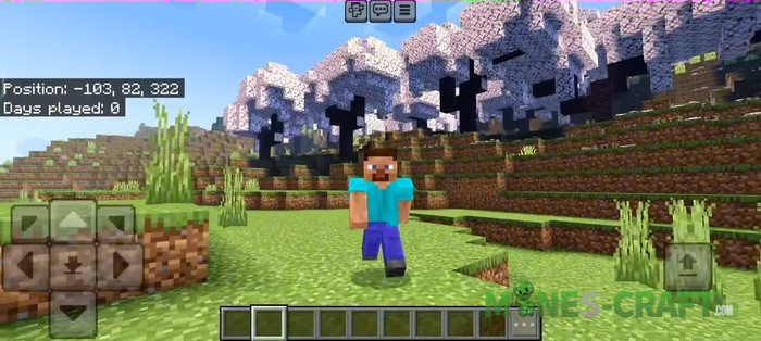 Camera Switch Button Addon
