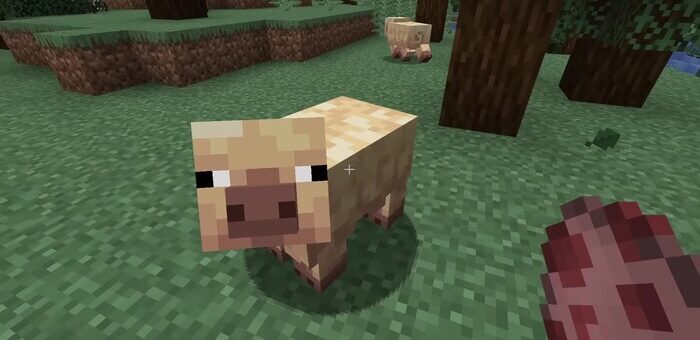 Minecraft PE 1.21.60.25