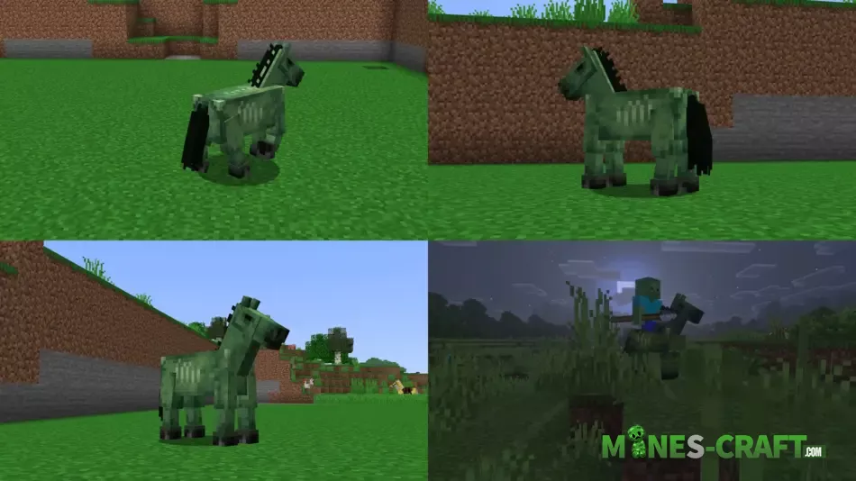 Zombie Horse