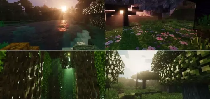 Vibrant Legacy Bedrock