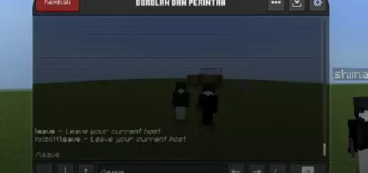 Co-Op Inventory Plugin [Bedrock 1.21]