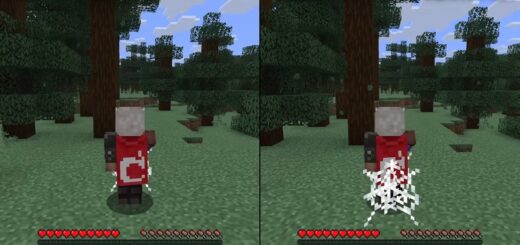 Minecraft 1.21.11 Pre-Release 1