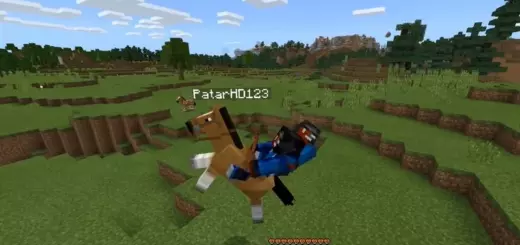 2 Players One Horse Addon [Bedrock 26.0+] – photo 4