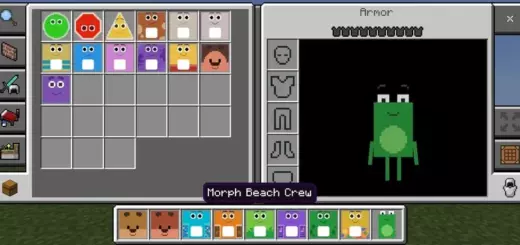 Wonderblocks Addon for Bedrock v1.1.0 [26.0.26+] – photo 8