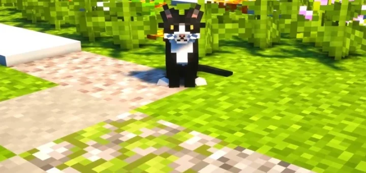 Better Cats Pack ver1.0 [Bedrock 1.21/26.10+] – photo 1
