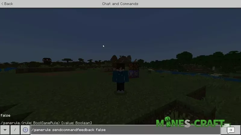 REALM World Border Tutorial for Minecraft Bedrock 26.0 – photo 1