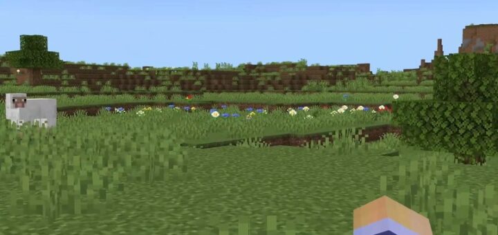 Zoom Focus BE Mod ver1.3 [1.21/26.10] – photo 2