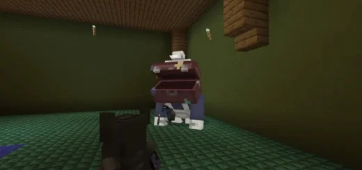 Castle Crashers Mod [Bedrock 1.21/26.3] – photo 3