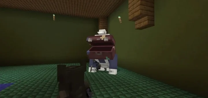 Castle Crashers Mod [Bedrock 1.21/26.3] – photo 3