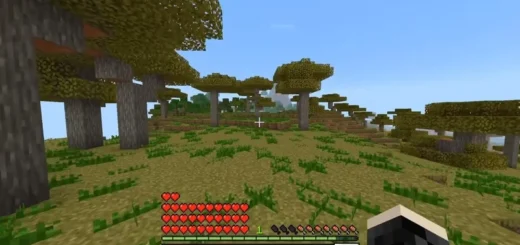 Health Progression for Bedrock 1.21/26.X – photo 6