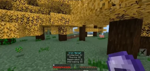 Random Enchantments Addon ver4.8 [Bedrock 26.10] – photo 1