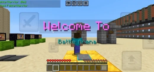 Bedrock Arena Map [1.21/26.X] – photo 3